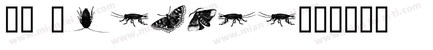 WM Insects字体转换